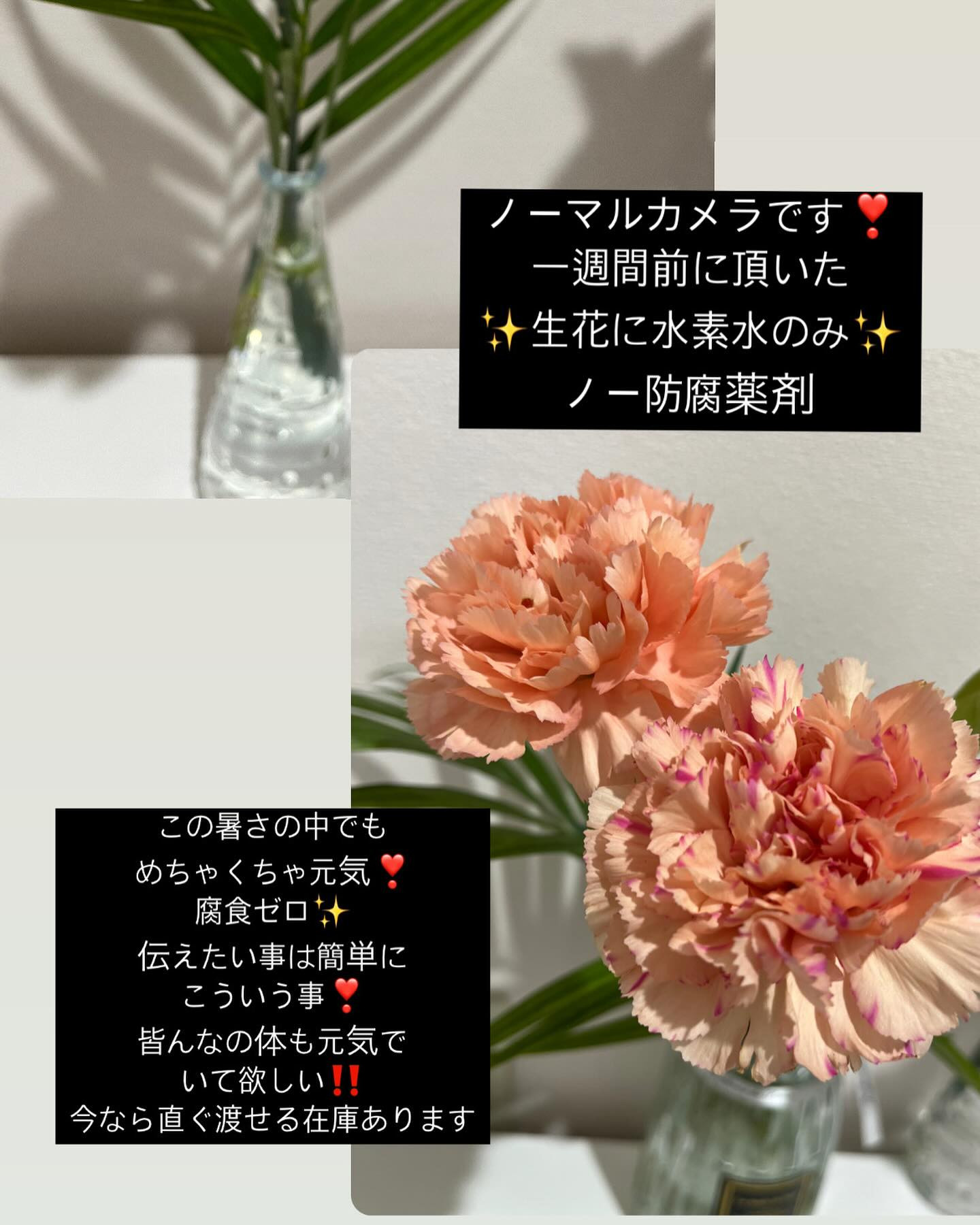 #電解水素水で健康に 