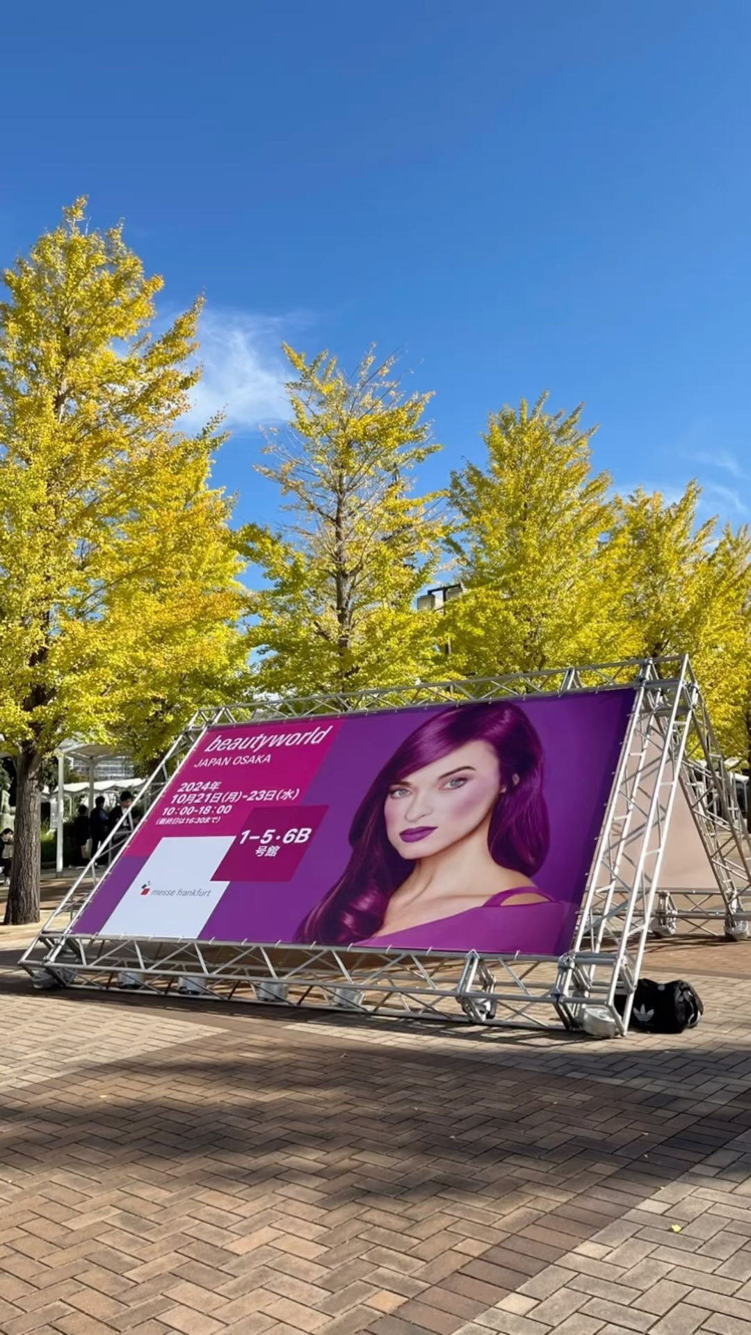 2024 年10月21.22.23 